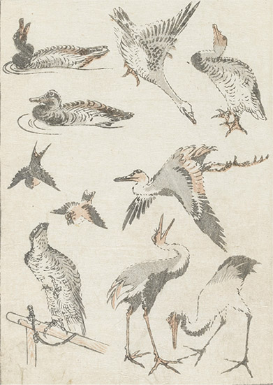 Katsushika Hokusai “HOKUSAI MANGA”